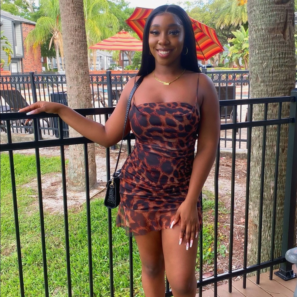 Leopard Print Dress